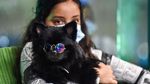 Potret Kafe Anjing Pertama di Arab Saudi