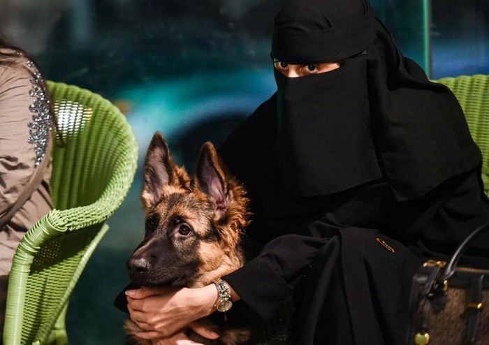 Kafe bertema anjing di Arab Saudi.