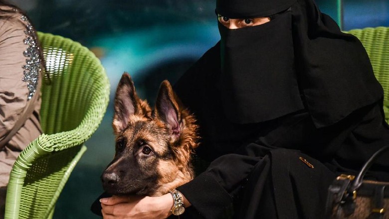 Kafe bertema anjing di Arab Saudi.