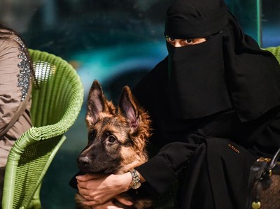 Tak Cuma Pantai Bikini, Arab Saudi Juga Punya Kafe Anjing