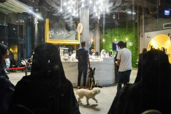 Sang pemilik kafe yang berdarah Kuwait, Dalal Ahmed mengaku terinspirasi akan tren yang unik itu, sejak kunjungan terakhirnya ke Arab Saudi. Ia pun akhirnya membuat Barking Lot. Sang pemilik kafe yang berdarah Kuwait, Dalal Ahmed mengaku terinspirasi akan tren yang unik itu, sejak kunjungan terakhirnya ke Arab Saudi. Ia pun akhirnya membuat Barking Lot.