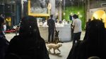 Potret Kafe Anjing Pertama di Arab Saudi