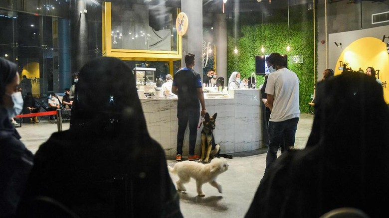 Barking Lot Kafe bertema anjing di Arab Saudi.