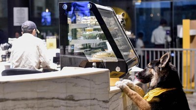 Potret Kafe Anjing Pertama di Arab Saudi