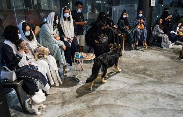Para pemilik binatang peliharaan anjing yang tinggal di kota pesisir Khobar, Arab Saudi, kini kian dimanjakan. Pasalnya, Dilansir detikTravel dari AFP, Kamis (1/10/2020), kini telah tersedia kafe anjing pertama di tanah arab dengan nama The Barking Lot. Para pemilik binatang peliharaan anjing yang tinggal di kota pesisir Khobar, Arab Saudi, kini kian dimanjakan. Pasalnya, Dilansir detikTravel dari AFP, Kamis (1/10/2020), kini telah tersedia kafe anjing pertama di tanah arab dengan nama The Barking Lot.