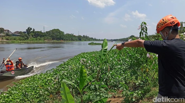 BPBD kota kediri mencari keberadaan buaya di sungai brantas