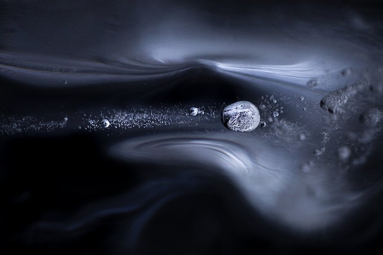 Close Up Photographer of the Year 2020