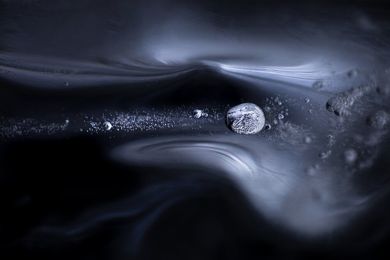 Close Up Photographer of the Year 2020