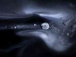 Aneka Foto Close Up Paling Memukau