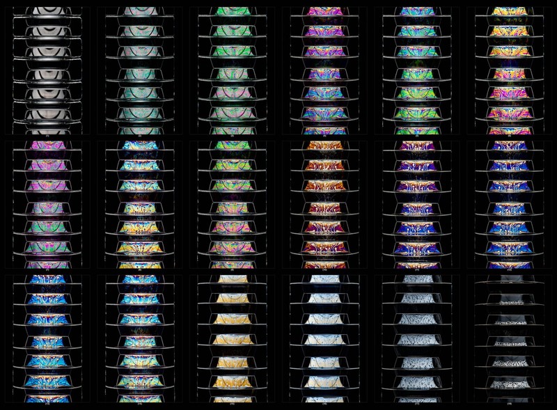 Close Up Photographer of the Year 2020