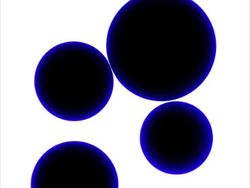 Aneka Foto Close Up Paling Memukau