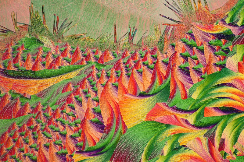 Close Up Photographer of the Year 2020