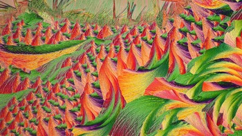 Siapa sangka foto Marek Miś ini adalah permukaan alat penghilang kapalan dari jarak dekat. Foto ini dinobatkan menjadi juara kedua kategori Micro. Foto: Marek Miś/Close Up Photographer of the Year