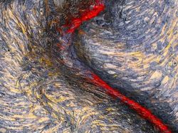 Aneka Foto Close Up Paling Memukau