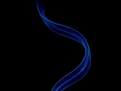 Aneka Foto Close Up Paling Memukau