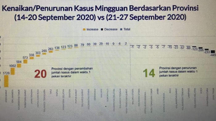 Data perkembangan kasus COVID-19 di provinsi