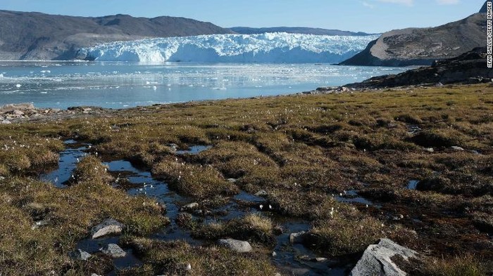 Gletser Greenland