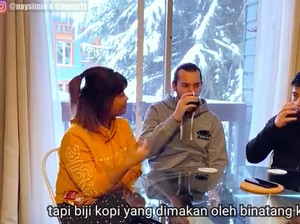 Hari Kopi Internasional, Bule-Bule Ini Tertarik Cicipi Kopi Luwak