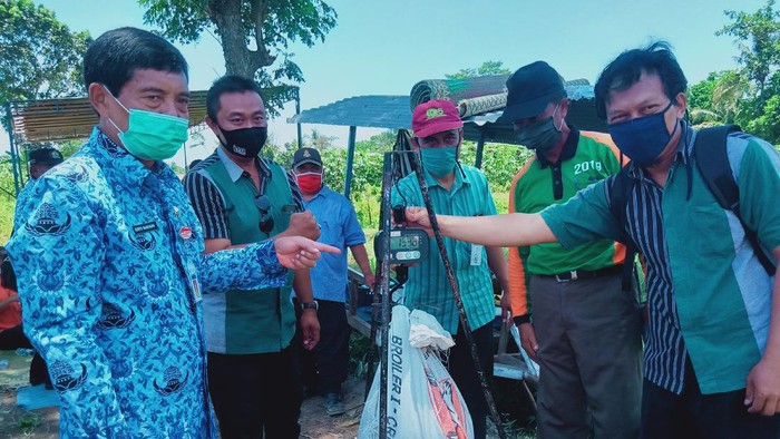 Kadinas pertanian Jateng Suryo Banedro saat panen bawang merah