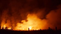 Kebakaran lahan tebu yang disewa sebuah pabrik gula di Madiun yang sebagian besar sudah dipanen tersebut diduga akibat sengaja dibakar oleh orang yang tidak bertanggung jawab.