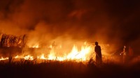 Sejumlah warga memadamkan api dengan peralatan seadanya saat terjadi kebakaran lahan tebu di atas areal aset milik Pemkot Madiun, Jawa Timur, Rabu (30/9/2020) malam.