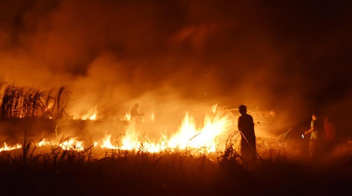 KEBAKARAN LAHAN TEBU DI MADIUN Sejumlah warga memadamkan api dengan peralatan seadanya saat terjadi kebakaran lahan tebu di atas areal aset milik Pemkot Madiun, Jawa Timur, Rabu (30/9/2020) malam. Kebakaran lahan tebu yang disewa sebuah pabrik gula di Madiun yang sebagian besar sudah dipanen tersebut diduga akibat sengaja dibakar oleh orang yang tidak bertanggung jawab. ANTARA FOTO/Siswowidodo/foc.