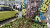 Menurut petugas, tanaman yang rusak diduga akibat pembuatan mural beberapa waktu lalu.
