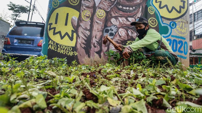 Perbaikan Taman yang Rusak di Kebayoran Petugas memperbaiki tanaman yang rusak di Jl Cipulir Raya, Kebayoran, Kamis (1/10/2020). Menurut petugas, tanaman rusak diduga akibat pembuatan mural.