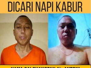 8 Fakta Penting Cai Changpan Ditemukan Gantung Diri di Hutan