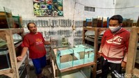 Mohammad Solikul Hadi, salah satu pelaku usaha budi daya ikan cupang mengatakan permintaan ikan hias meningkat di masa pandemi COVID-19.