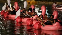 Festival ini digemari banyak warga dari berbagai usia di Brasil.  