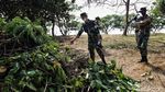 TNI AL Gerebek Sampah dan Lumpur di Waduk Pluit