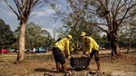 TNI AL Gerebek Sampah dan Lumpur di Waduk Pluit