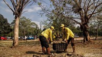 Sampah dikumpulkan kemudian dibuang.