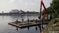 Sejumlah ekskavator juga dikerahkan untuk membersihkan sampah yang mengotori Waduk Pluit.