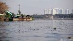 TNI AL Gerebek Sampah dan Lumpur di Waduk Pluit