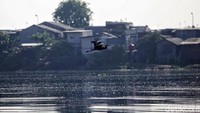Waduk Pluit merupakan salah satu reservoir (waduk) utama bagi aliran sungai Ciliwung Lama yang terkoneksi dengan Pintu Air Manggarai dan Istiqlal menuju laut Jakarta.