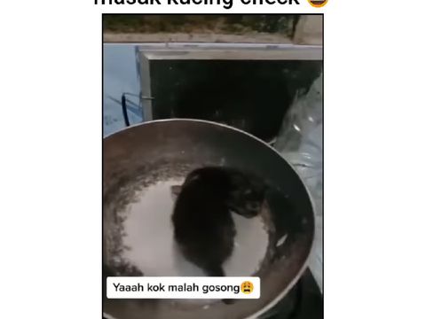 Bikin Video Candaan Masak Kucing, Netizen Ramai Menghujat