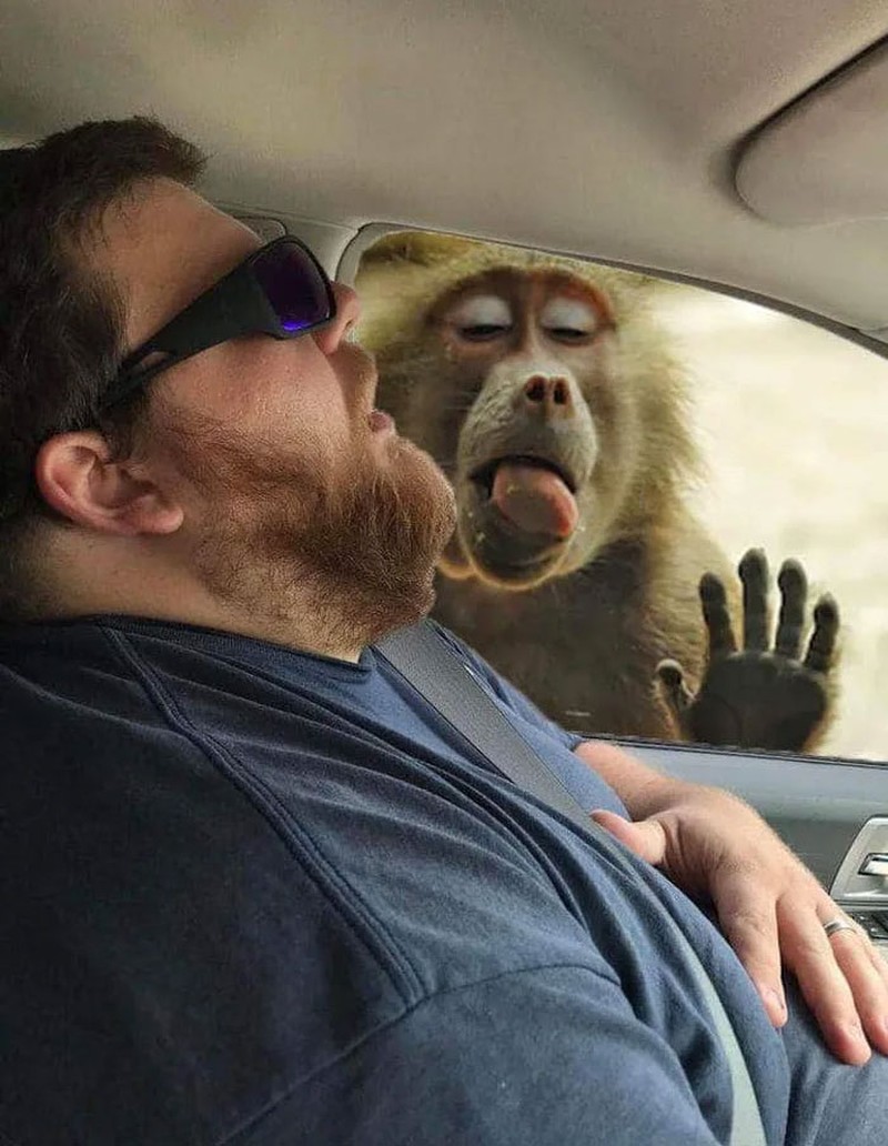 Editan Kocak Netizen