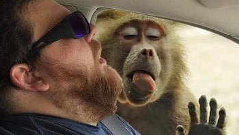 Seperti ini diintip oleh monyet. Foto: doc. Bored Panda