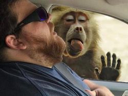 Kocaknya Netizen Edit Foto Pria Ini Pakai Photoshop