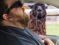 Kocaknya Netizen Edit Foto Pria Ini Pakai Photoshop