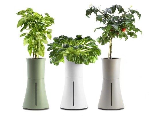 Gadget untuk berkebun