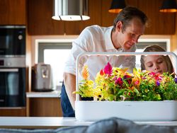 5 Teknologi Cerdas untuk Berkebun