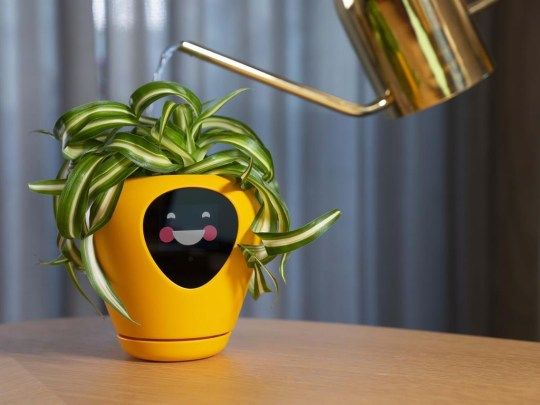 Gadget untuk berkebun