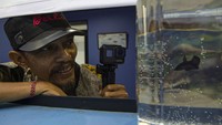 Tren hobi memelihara ikan cupang saat pandemi juga menjadi berkah bagi content creator atau Youtuber Dedi Yusolianto, SE yang akrab disapa Deeway Gembel. Deeway yang oleh penggemarnya dijuluki Presiden Cupang Indonesia itu mengalami peningkatan pesat jumlah subscriber (pelanggan) di channel YouTube.  
