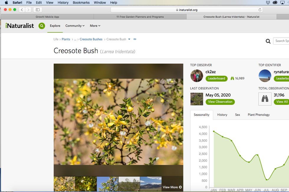 iNaturalist