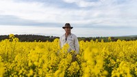 Petani tengah menikmati panen raya setelah hujan deras melanda wilayah New South Wales, Australia.  