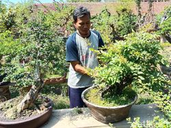 Aneka Peluang Usaha Berkebun Dibantu Teknologi Digital