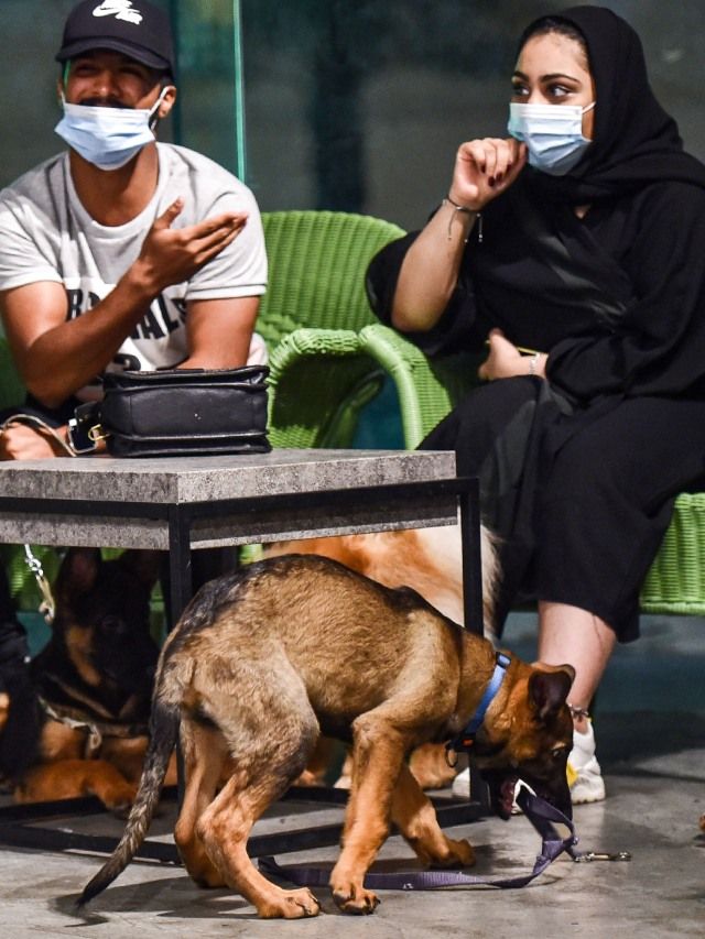 Ini Kafe Anjing Pertama di Arab Saudi yang Baru Saja Buka
